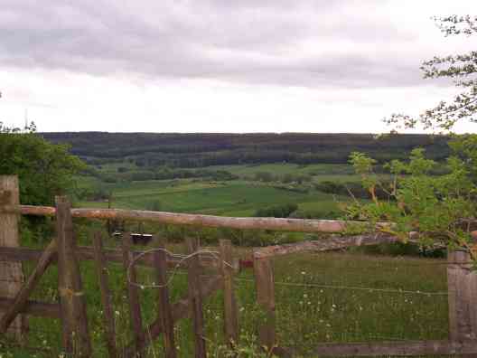 Blick auf Weide und Eggekamm 2007