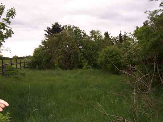 ehemaliger Reitplatz 2007