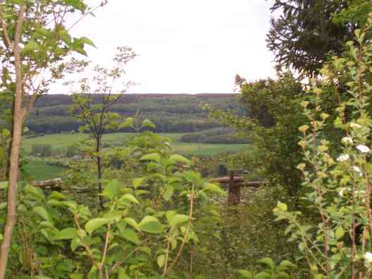 Garten 2007
