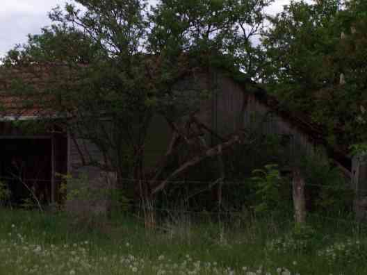 Offenstall 2007