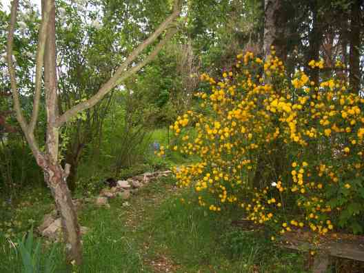 im Garten 2007